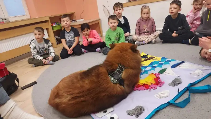 Obcowanie dzieci z psami przynosi wymierne korzyści w sferze emocjonalnej, społecznej i fizycznej